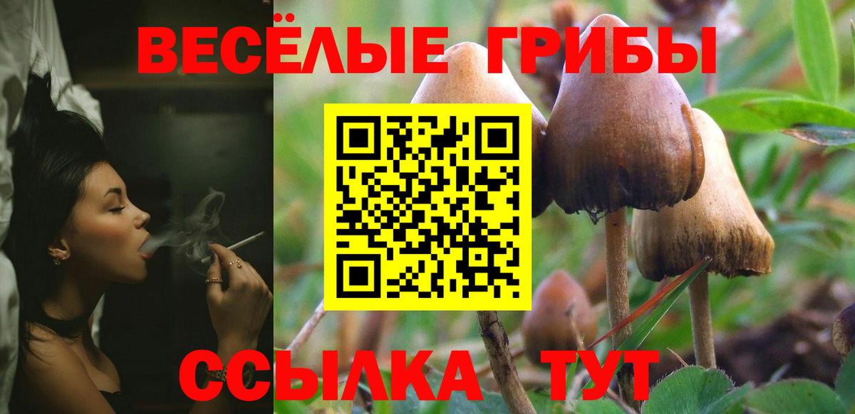 КОКАИН Мытищи