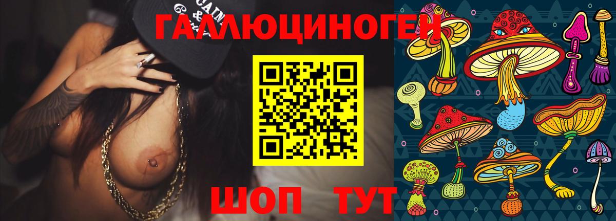 Мытищи  Галлюциногенные грибы Psilocybe  Псилоцибиновые грибы Psilocybine cubensis  Вход с VPN 